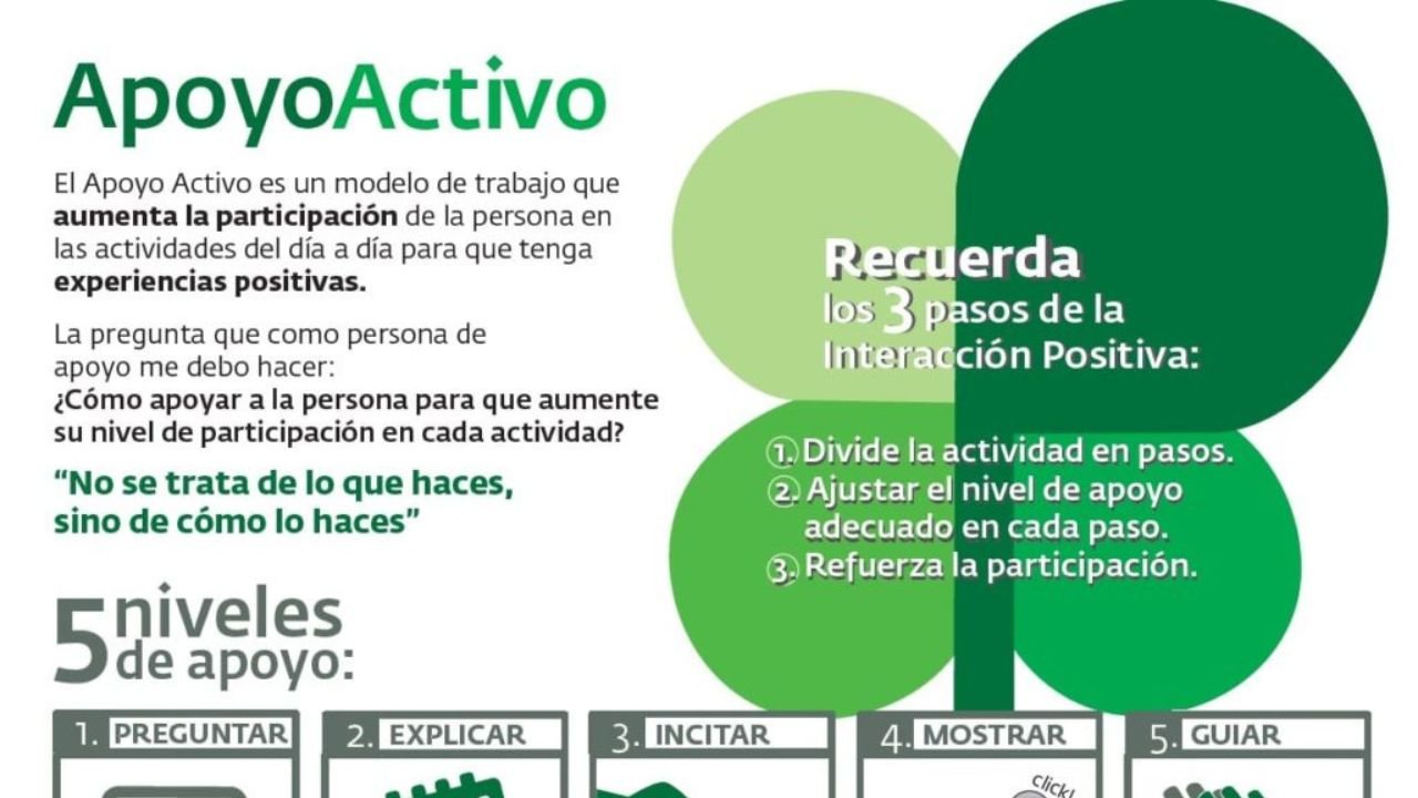 Os 5 niveis do apoio activo