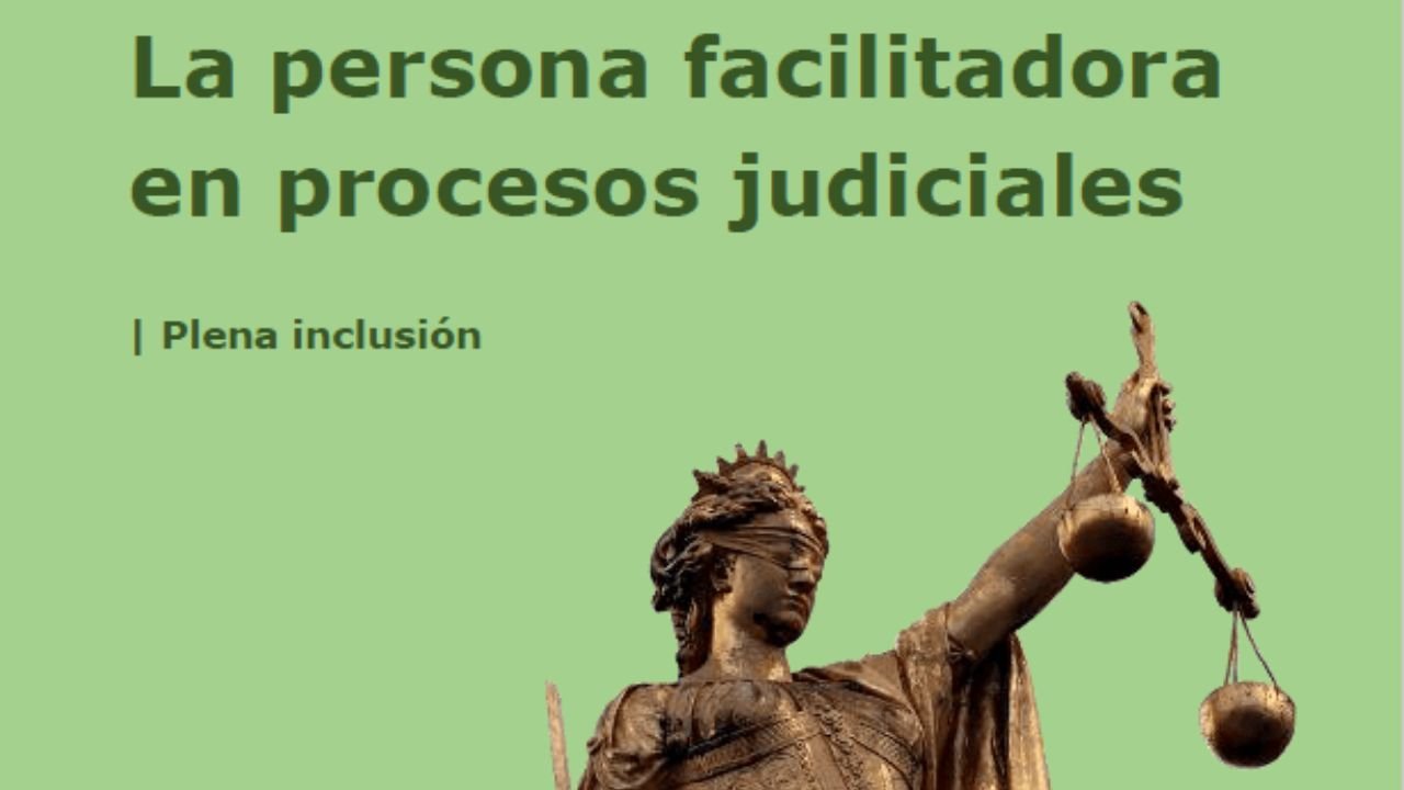 A persoa facilitadora en procesos xudiciais