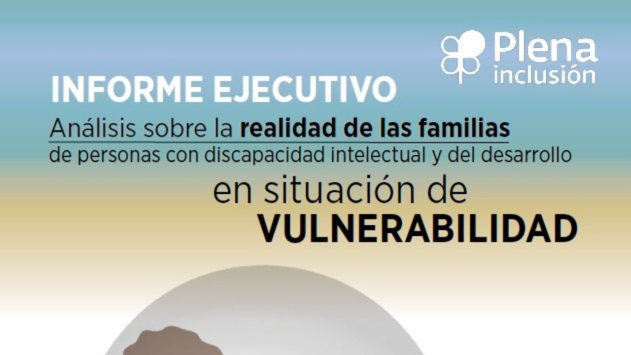 Informe executivo da análise sobre a realidade das familias de persoas con discapacidade intelectual e do desenvolvemento en situación de vulnerabilidade