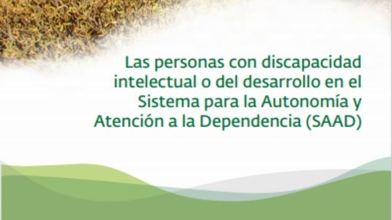 As persoas con discapacidade intelectual ou do desenvolvemento no Sistema para a Autonomía e Atención á Dependencia (SAAD)