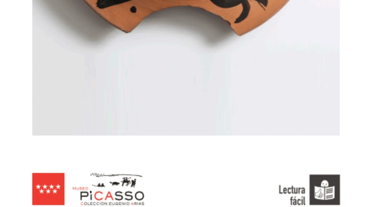 Museo Picasso Colección Eugenio Arias en lectura doado