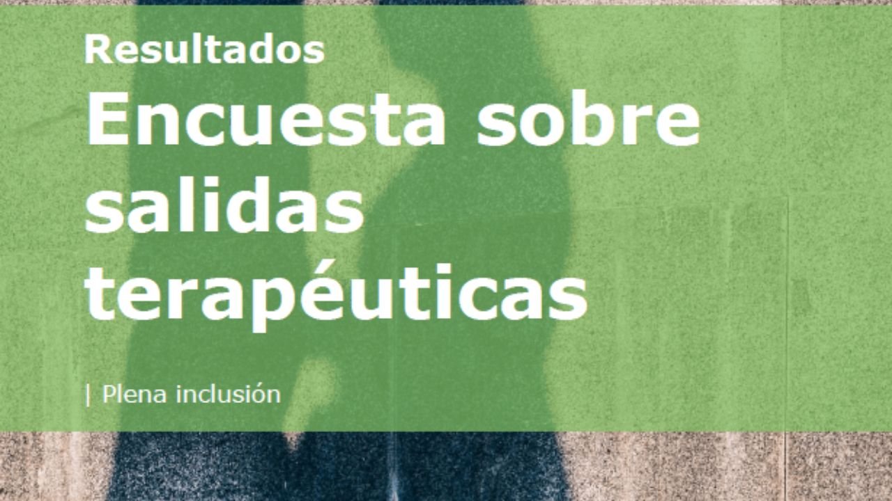 Resultados. Enquisa sobre saídas terapéuticas