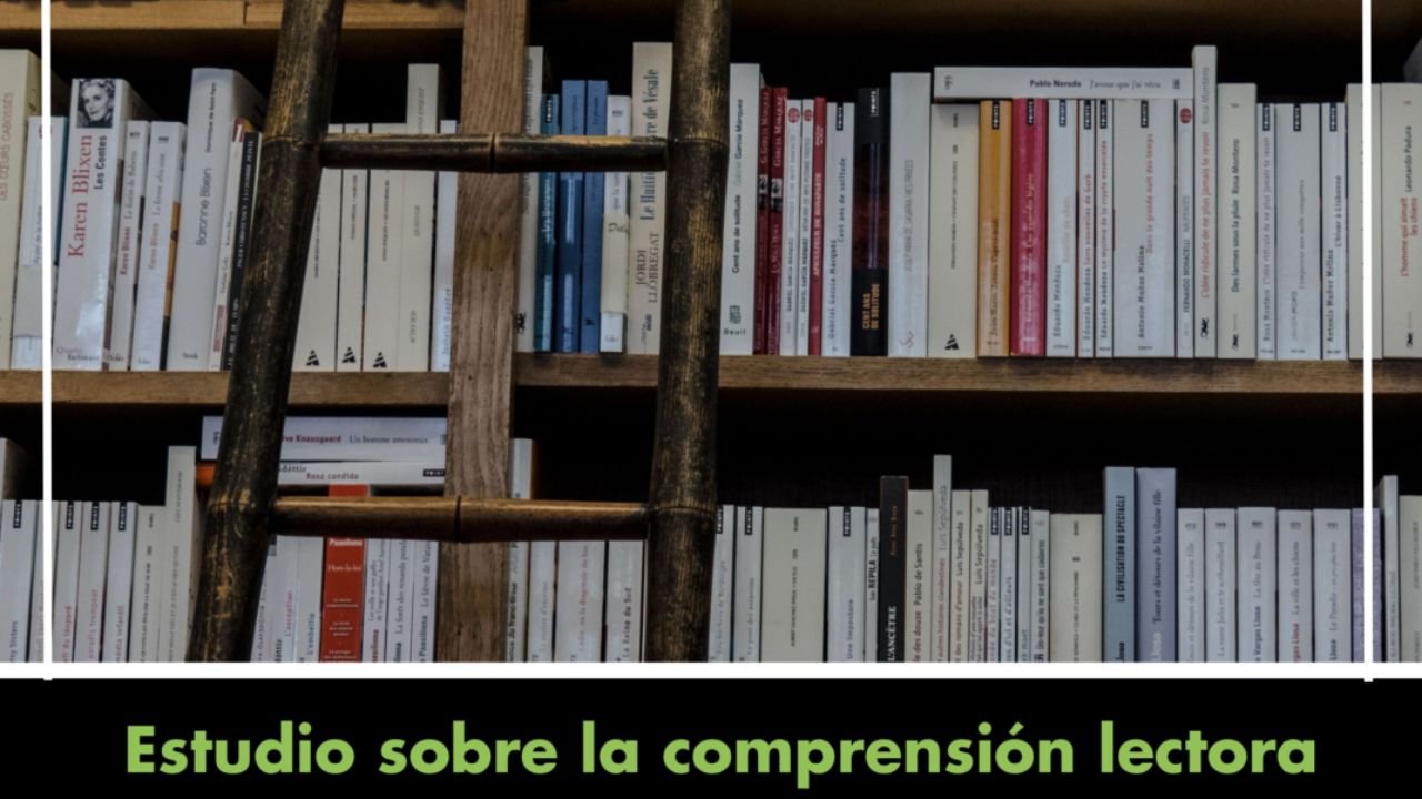 Resumen en lectura fácil. Estudio sobre la comprensión lectora. Una escalera para comprender el mundo
