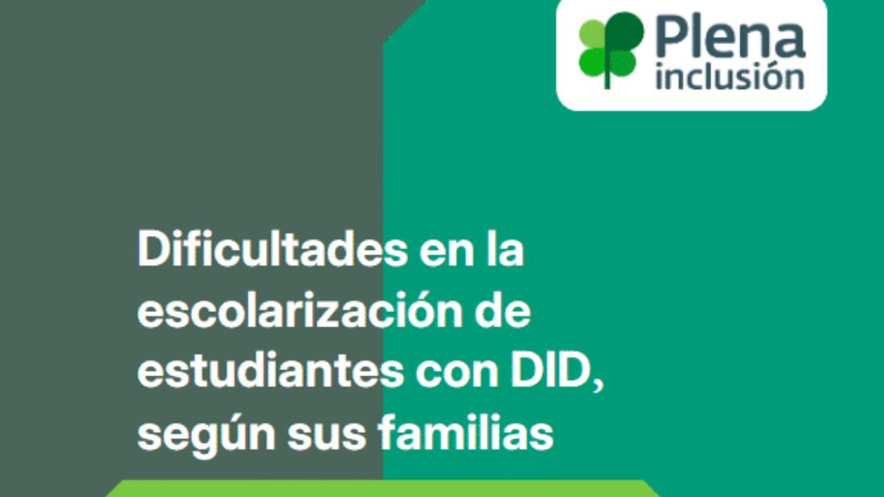 Dificultades en la escolarización de estudiantes con DID, según sus familias